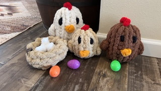 Harriet Hen with her baby chicks