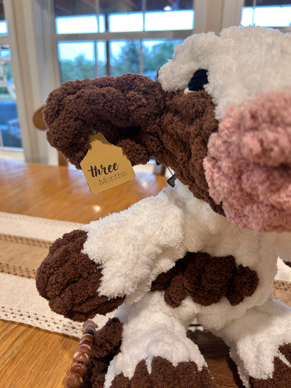 Daisy Cow