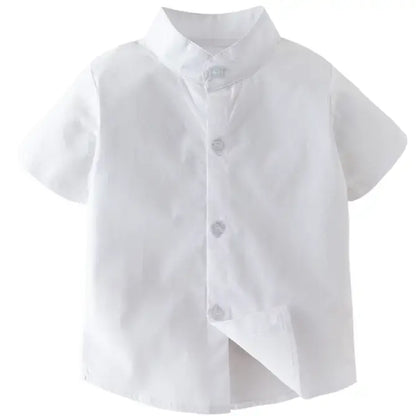 Cotton Button-Down Short-Sleeve Dress Shirt